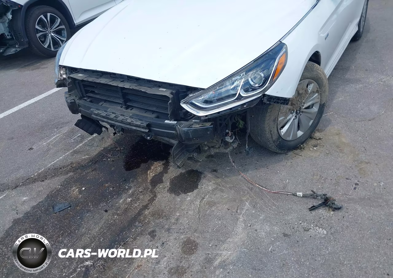 2019 Hyundai Sonata Hybrid Se VIN:KMHE24L32KA089513 - 6