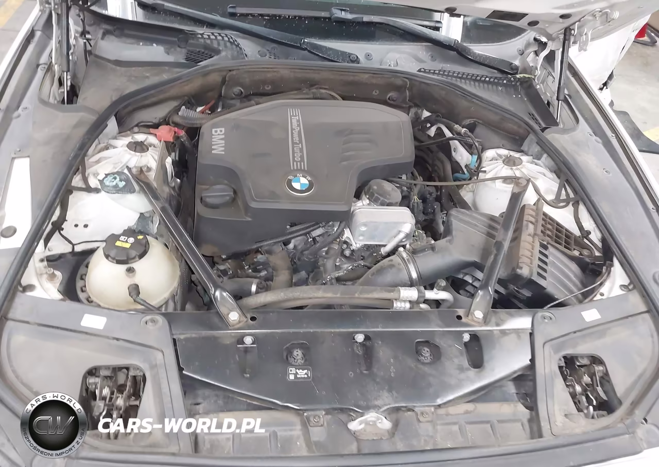 2016 BMW 528I VIN:WBA5A5C57GG352191 - 10