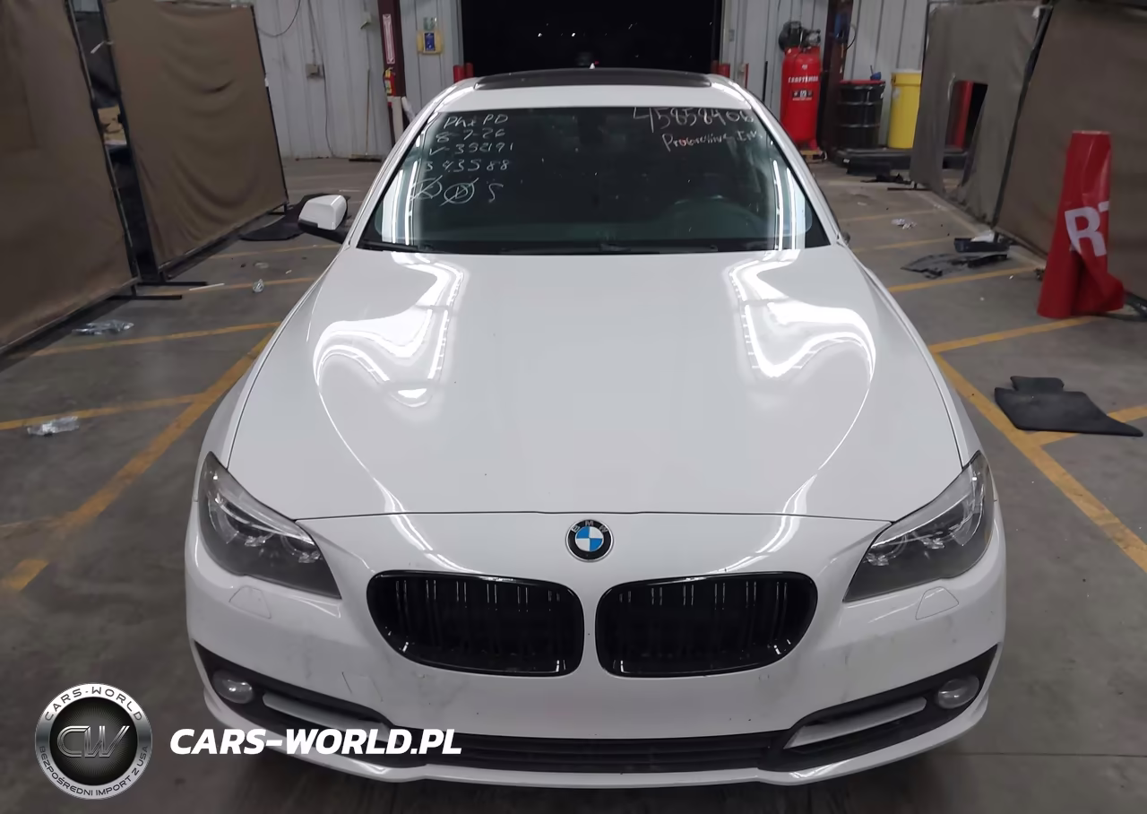 2016 BMW 528I VIN:WBA5A5C57GG352191 - 12