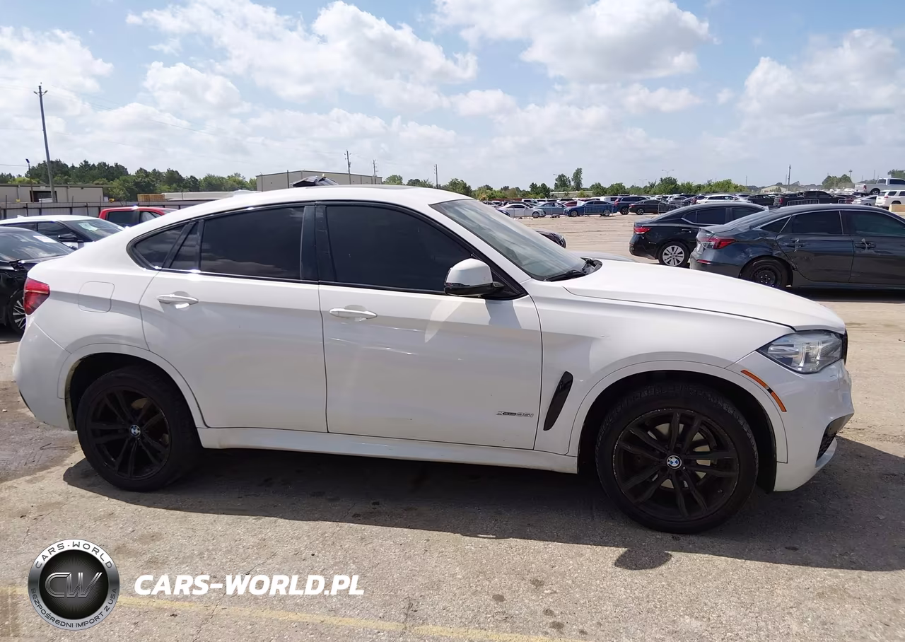 2017 BMW X6 xDrive35I VIN:5UXKU2C35H0U29028 - 13