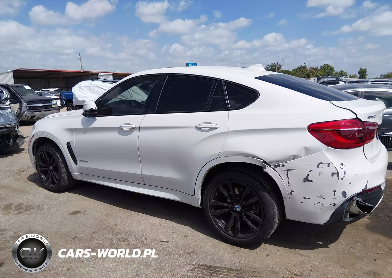 2017 BMW X6 xDrive35I VIN:5UXKU2C35H0U29028 - 14