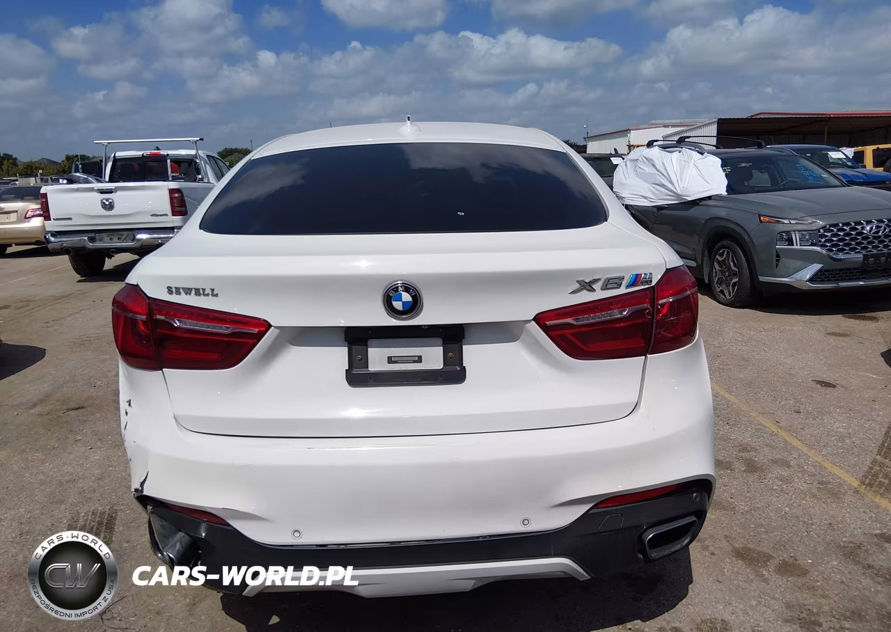 2017 BMW X6 xDrive35I VIN:5UXKU2C35H0U29028 - 16