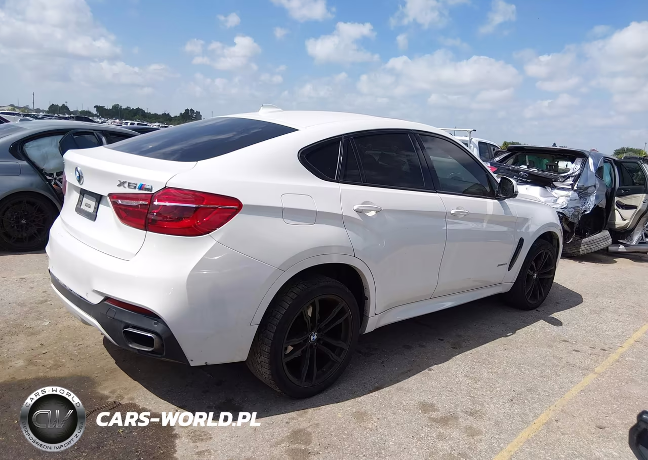 2017 BMW X6 xDrive35I VIN:5UXKU2C35H0U29028 - 4