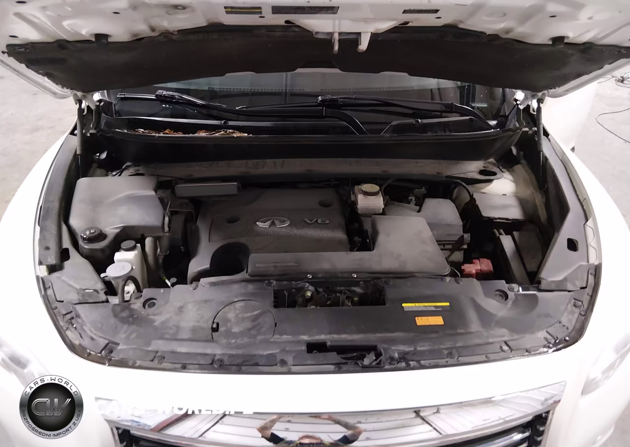 2015 Infiniti Qx60 VIN:5N1AL0MM9FC535470 - 10