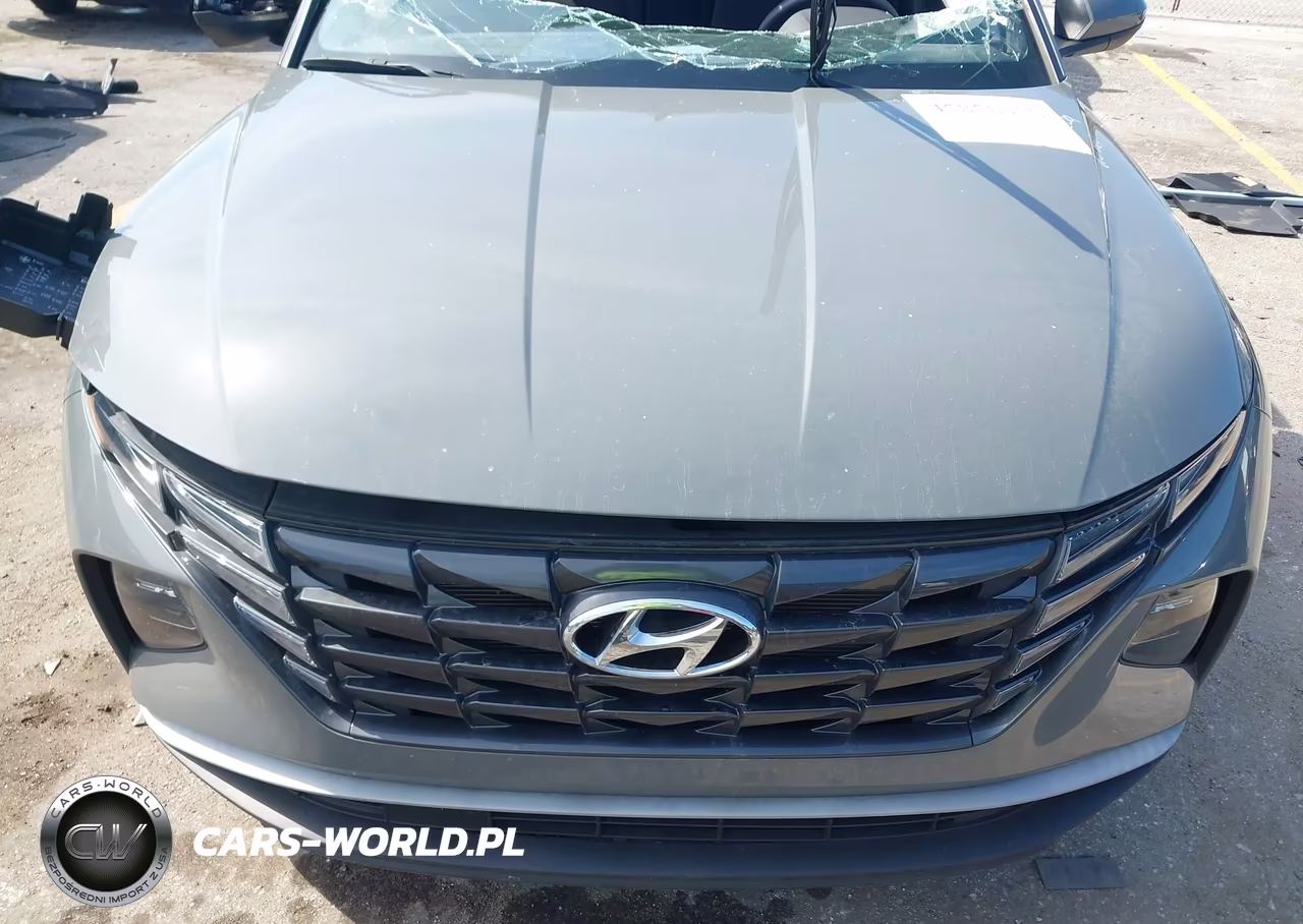 2024 Hyundai Tucson Sel VIN:5NMJB3DE6RH418209 - 10