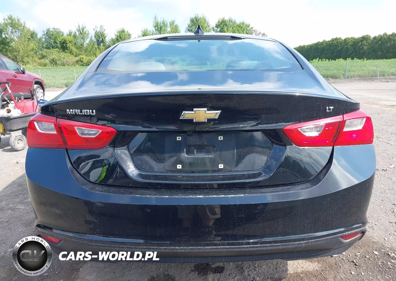 2023 Chevrolet Malibu Fwd 1Lt VIN:1G1ZD5ST3PF226386 - 16