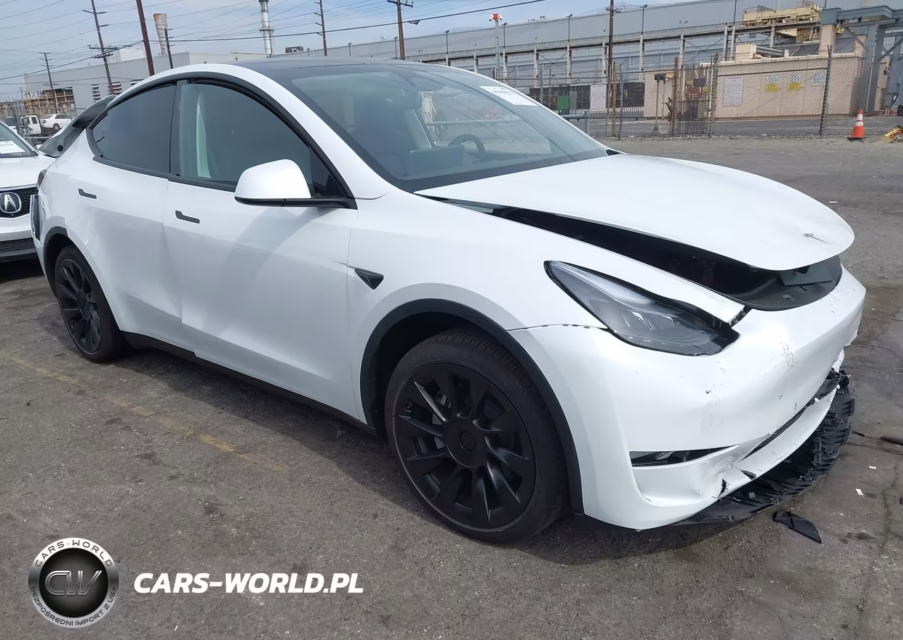 2025 Tesla Model Y Long Range Dual Motor Rear-Wheel Drive VIN:7SAYGDED7SF312941 - 1