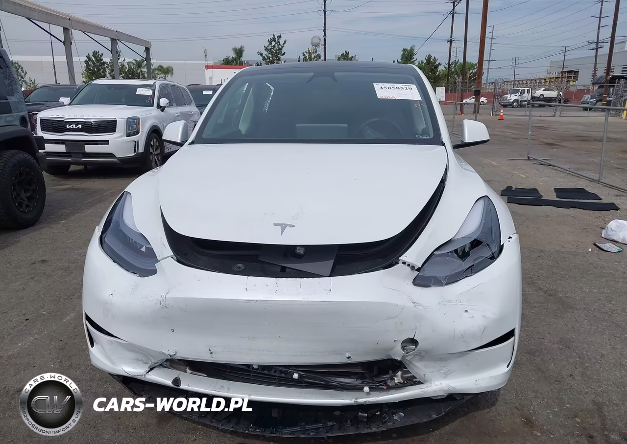 2025 Tesla Model Y Long Range Dual Motor Rear-Wheel Drive VIN:7SAYGDED7SF312941 - 10
