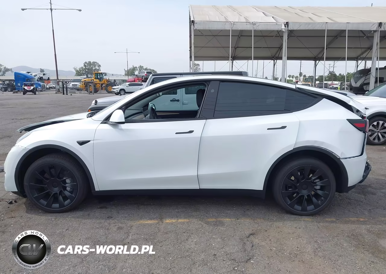 2025 Tesla Model Y Long Range Dual Motor Rear-Wheel Drive VIN:7SAYGDED7SF312941 - 12