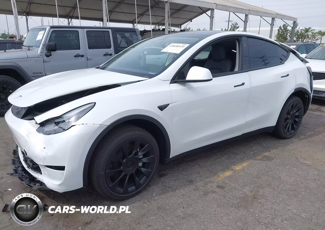 2025 Tesla Model Y Long Range Dual Motor Rear-Wheel Drive VIN:7SAYGDED7SF312941 - 2