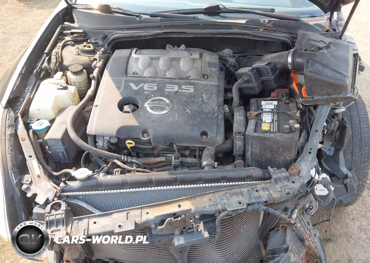 2008 Nissan Maxima 3.5 Se VIN:1N4BA41E88C815280 - 10