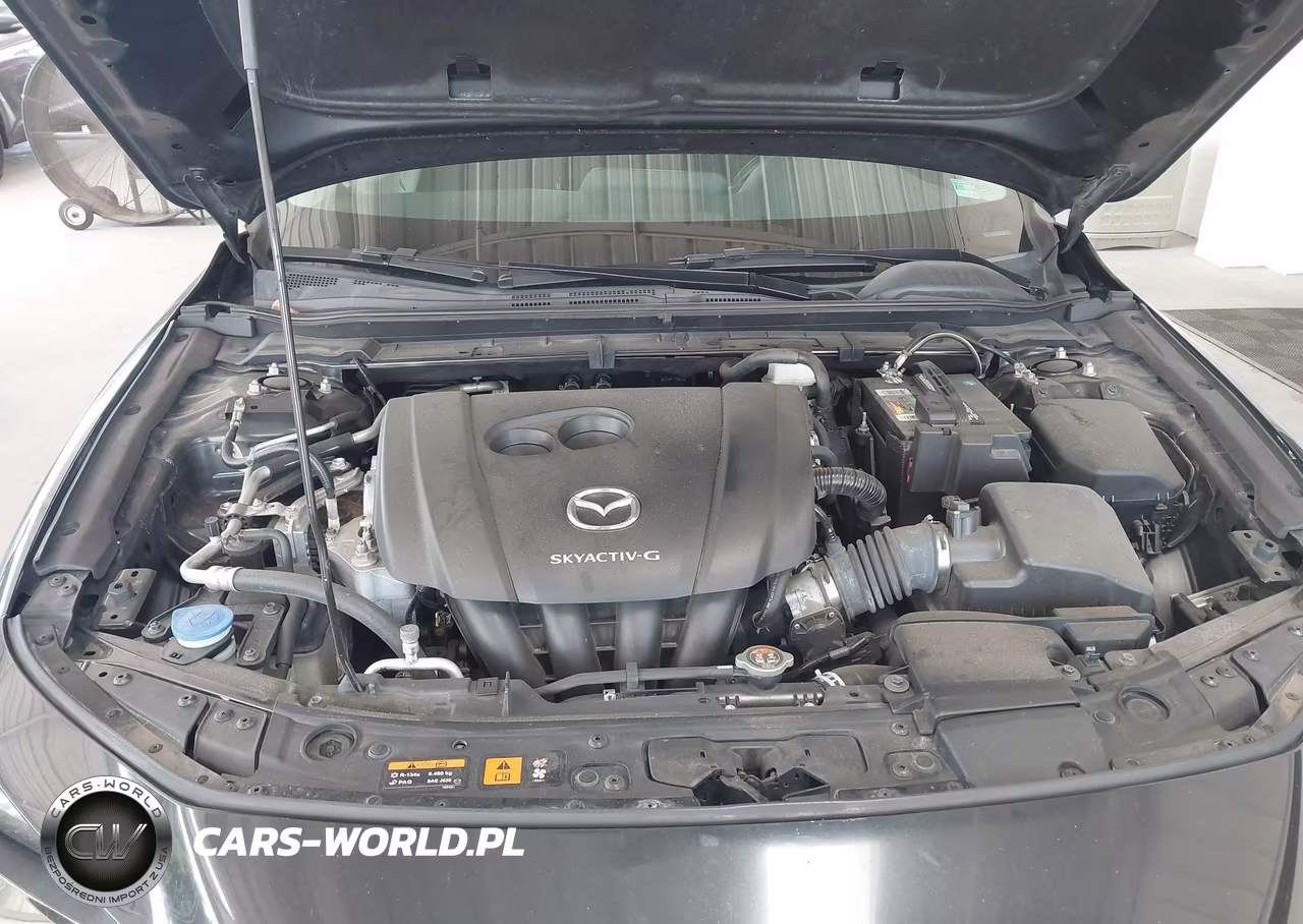 2019 Mazda Mazda3 VIN:3MZBPABL4KM113836 - 10