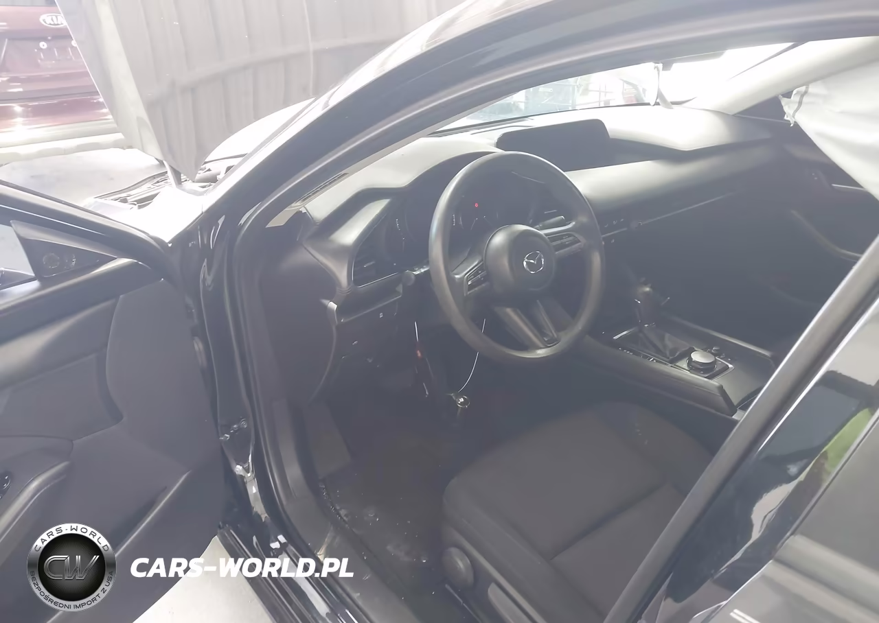 2019 Mazda Mazda3 VIN:3MZBPABL4KM113836 - 5