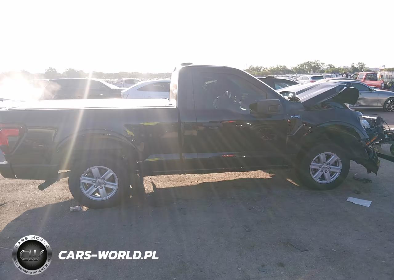 2024 Ford F-150 Xl VIN:1FTMF1K55RKE96333 - 12