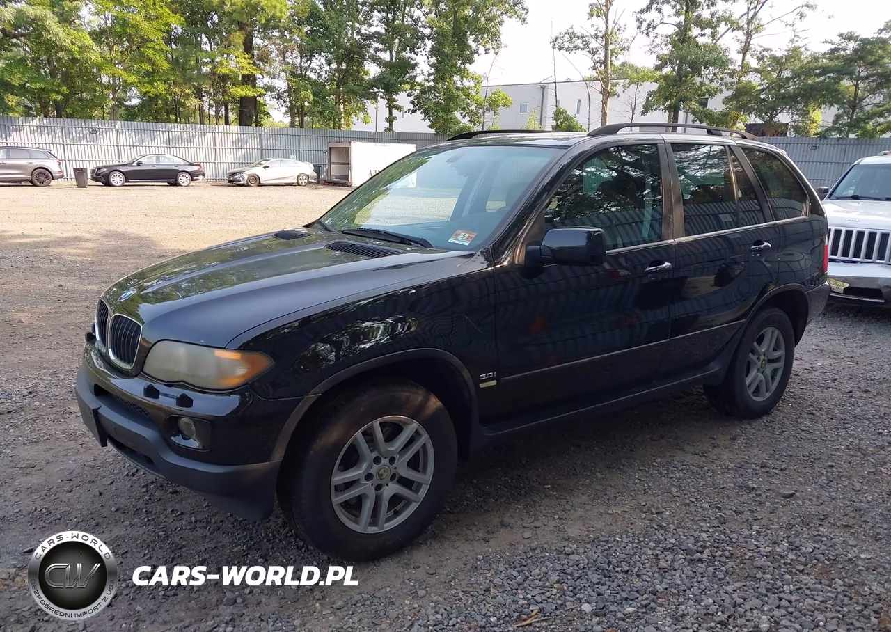 2006 BMW X5 3.0I VIN:5UXFA13566LY30671 - 2