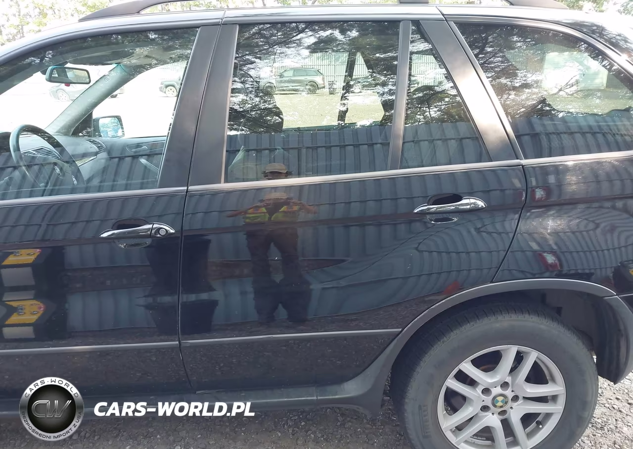 2006 BMW X5 3.0I VIN:5UXFA13566LY30671 - 6