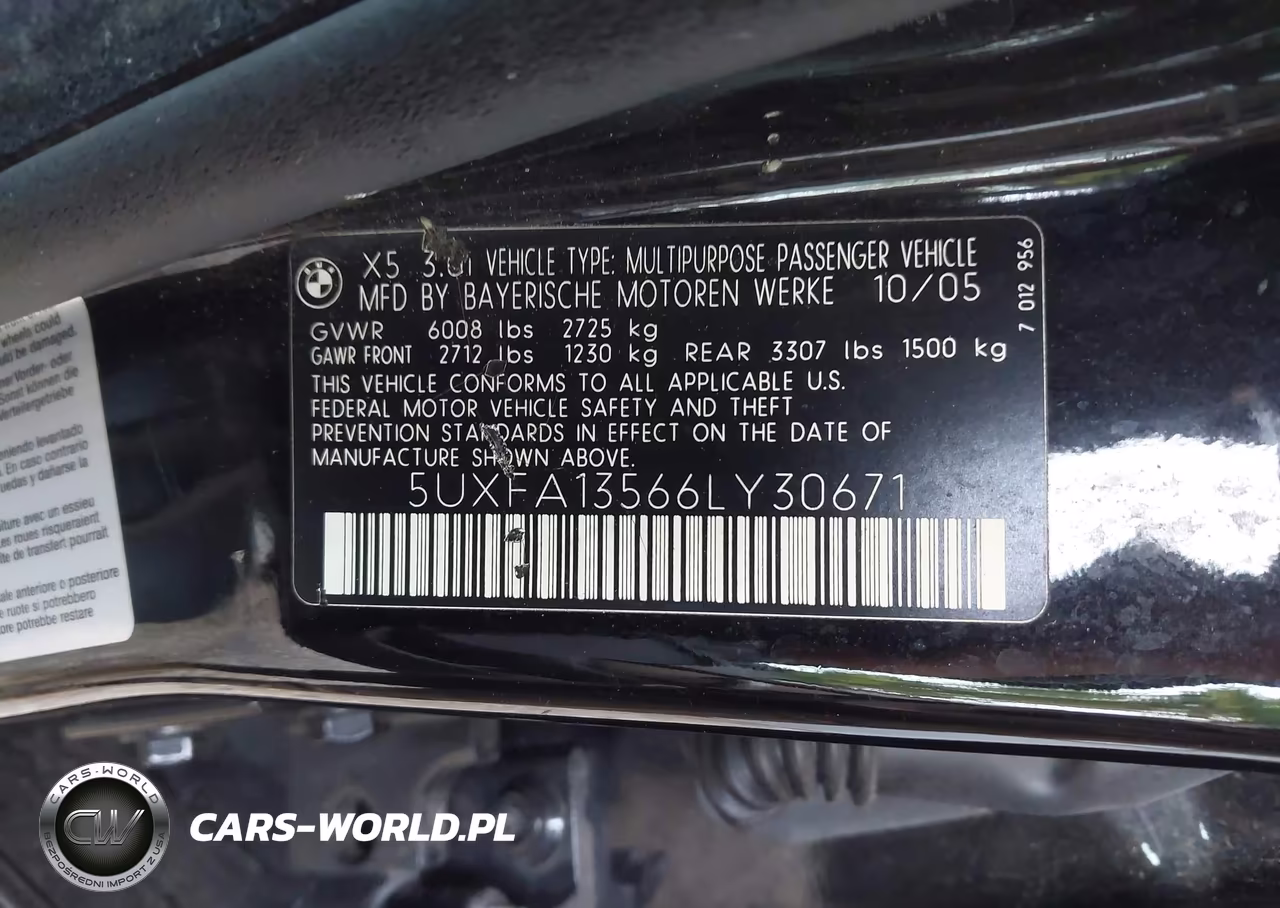 2006 BMW X5 3.0I VIN:5UXFA13566LY30671 - 9