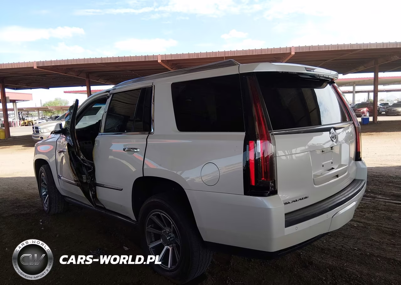 2015 Cadillac Escalade Premium VIN:1GYS4CKJ1FR275704 - 13
