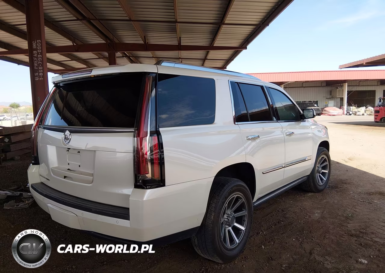 2015 Cadillac Escalade Premium VIN:1GYS4CKJ1FR275704 - 15