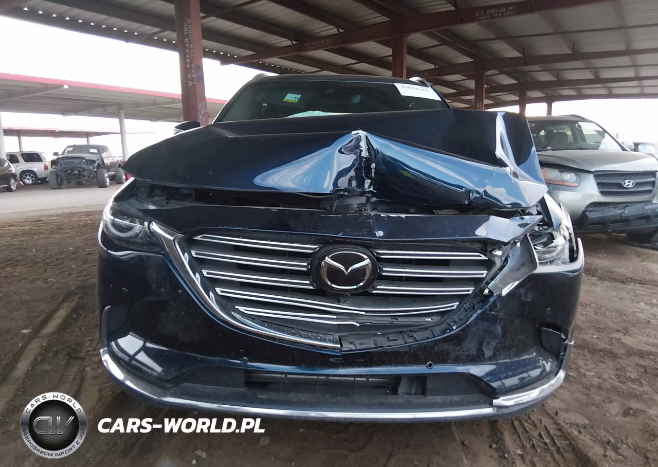 2023 Mazda Cx-9 Grand Touring VIN:JM3TCBDY2P0630328 - 12