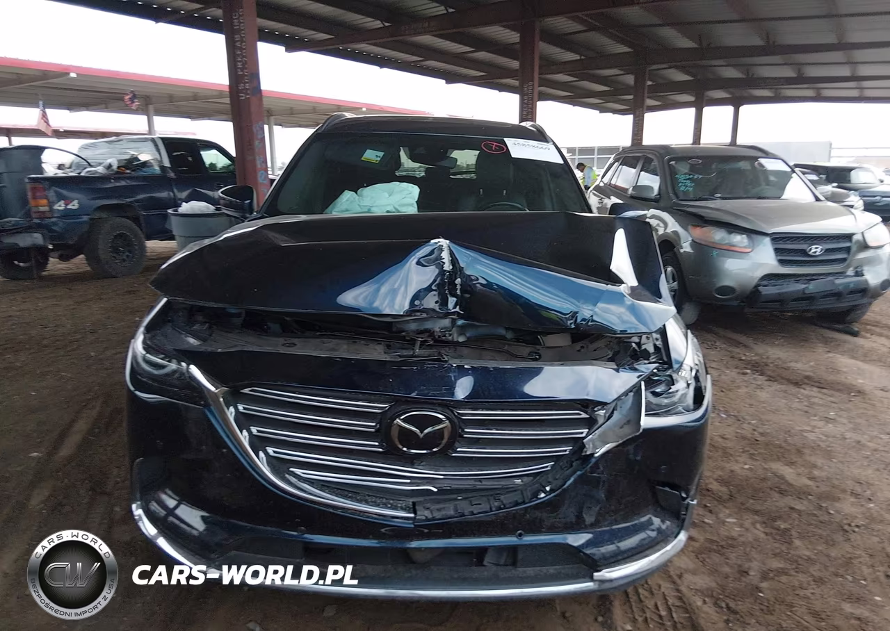 2023 Mazda Cx-9 Grand Touring VIN:JM3TCBDY2P0630328 - 6