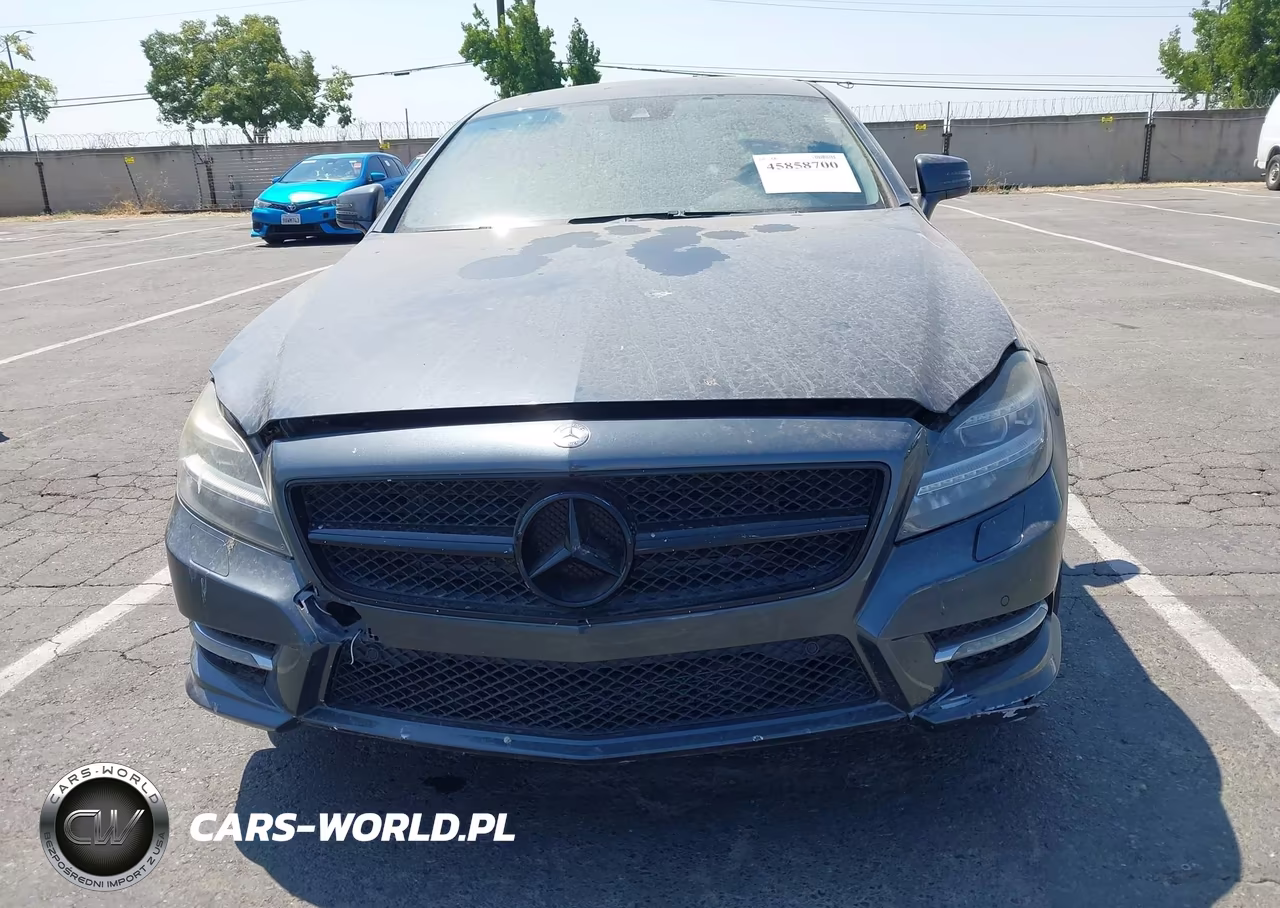 2013 Mercedes-Benz Cls 550 VIN:WDDLJ7DB6DA074690 - 12