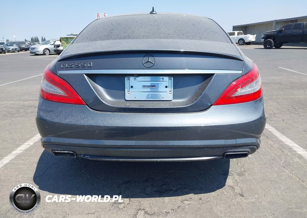 2013 Mercedes-Benz Cls 550 VIN:WDDLJ7DB6DA074690 - 16