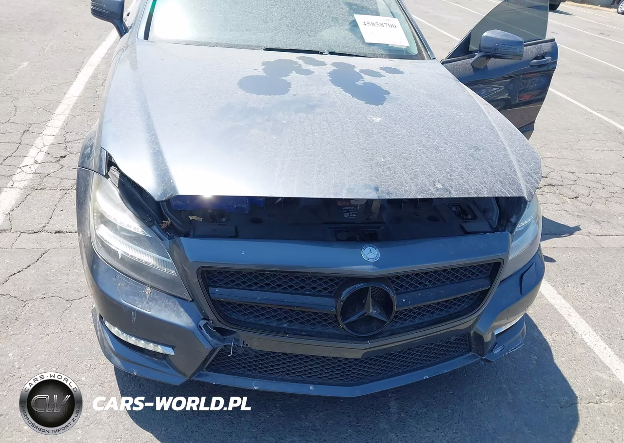 2013 Mercedes-Benz Cls 550 VIN:WDDLJ7DB6DA074690 - 6