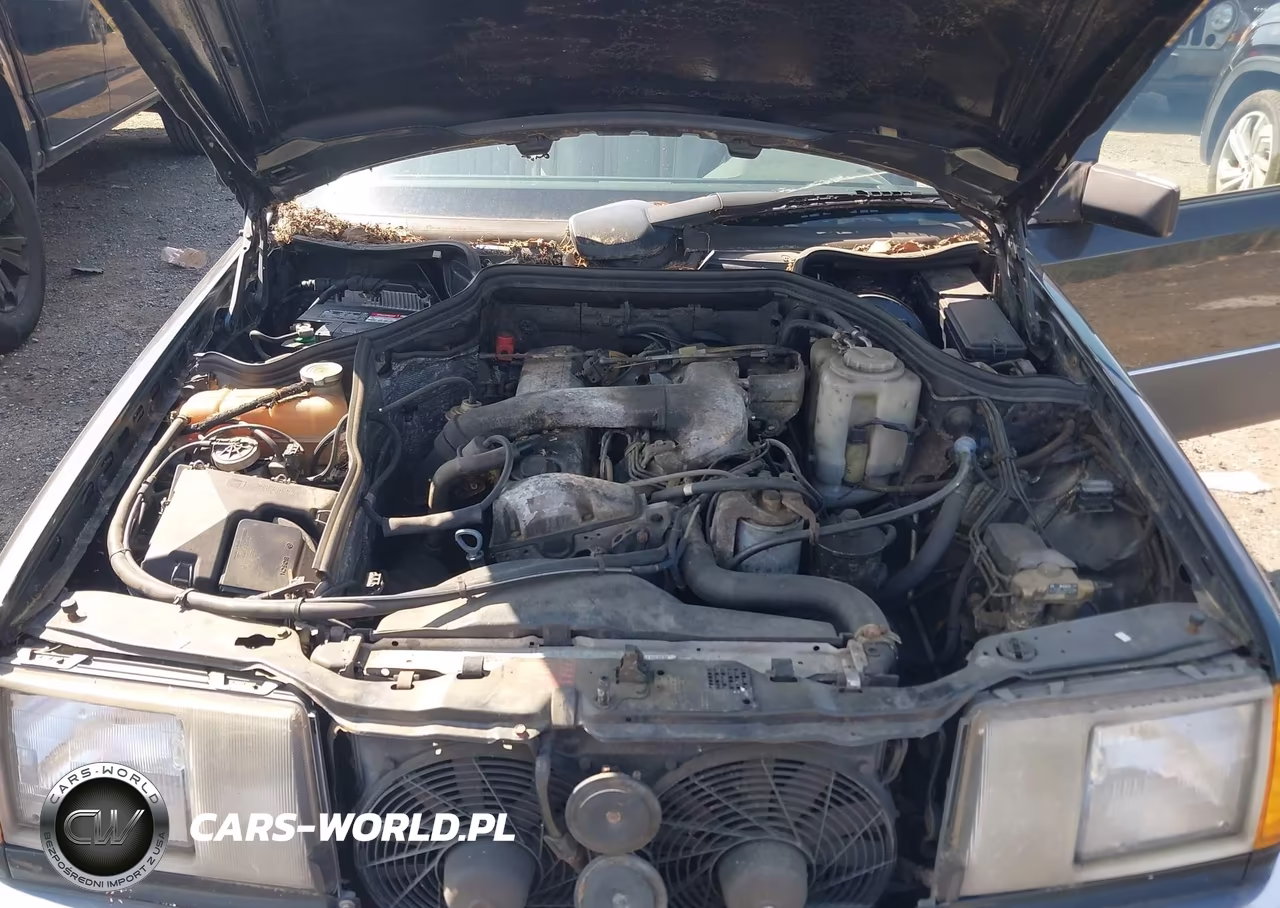 1992 Mercedes-Benz 300 D VIN:WDBEB28D4NB621352 - 10