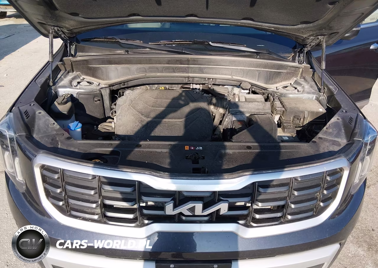 2025 Kia Telluride S VIN:5XYP6DGC8SG718896 - 10