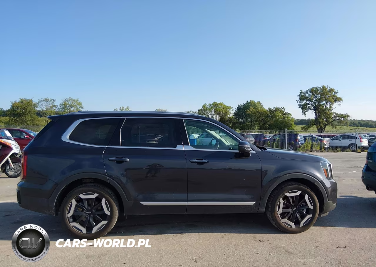 2025 Kia Telluride S VIN:5XYP6DGC8SG718896 - 13