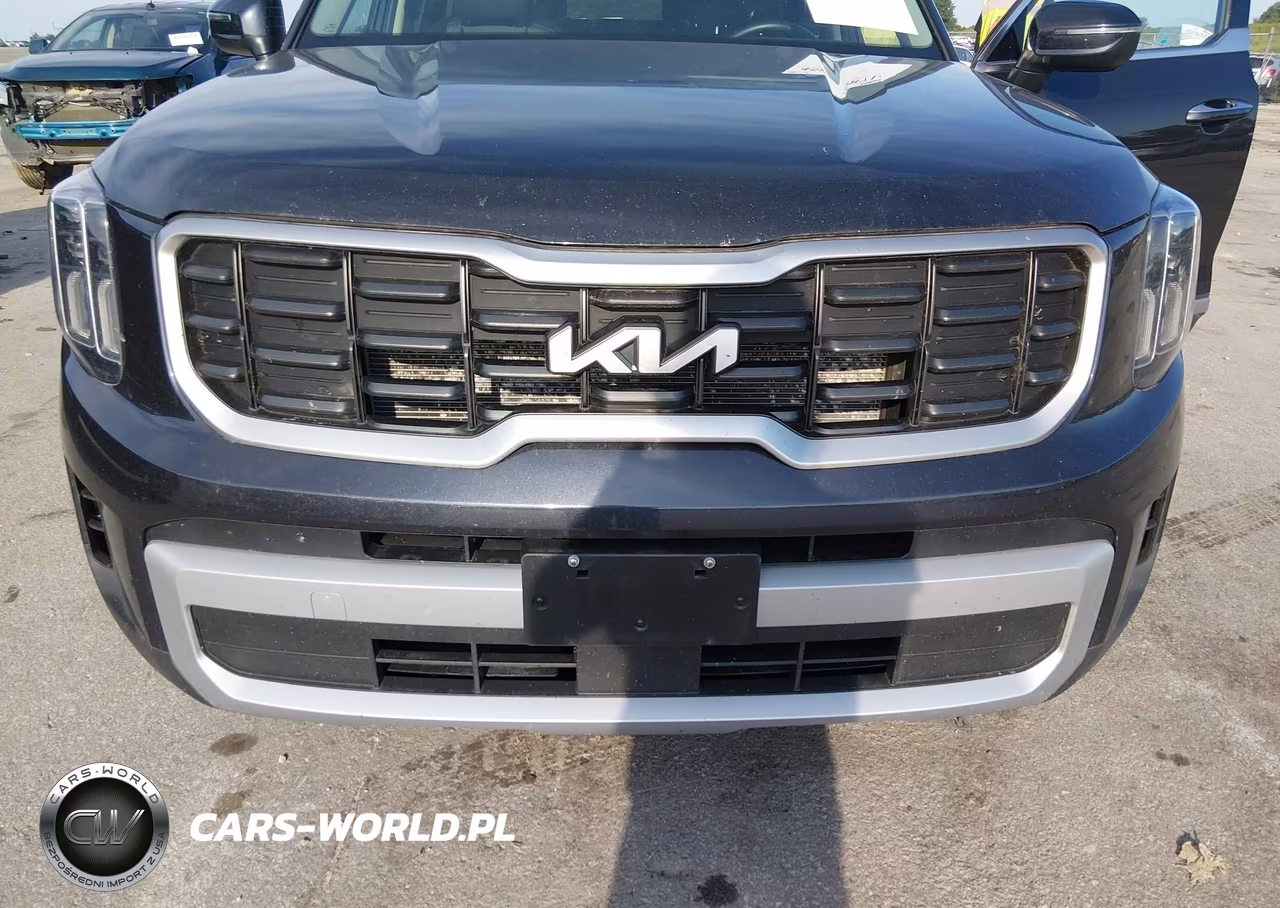 2025 Kia Telluride S VIN:5XYP6DGC8SG718896 - 6