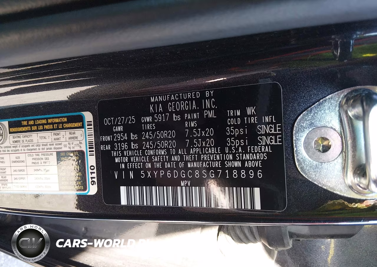 2025 Kia Telluride S VIN:5XYP6DGC8SG718896 - 9