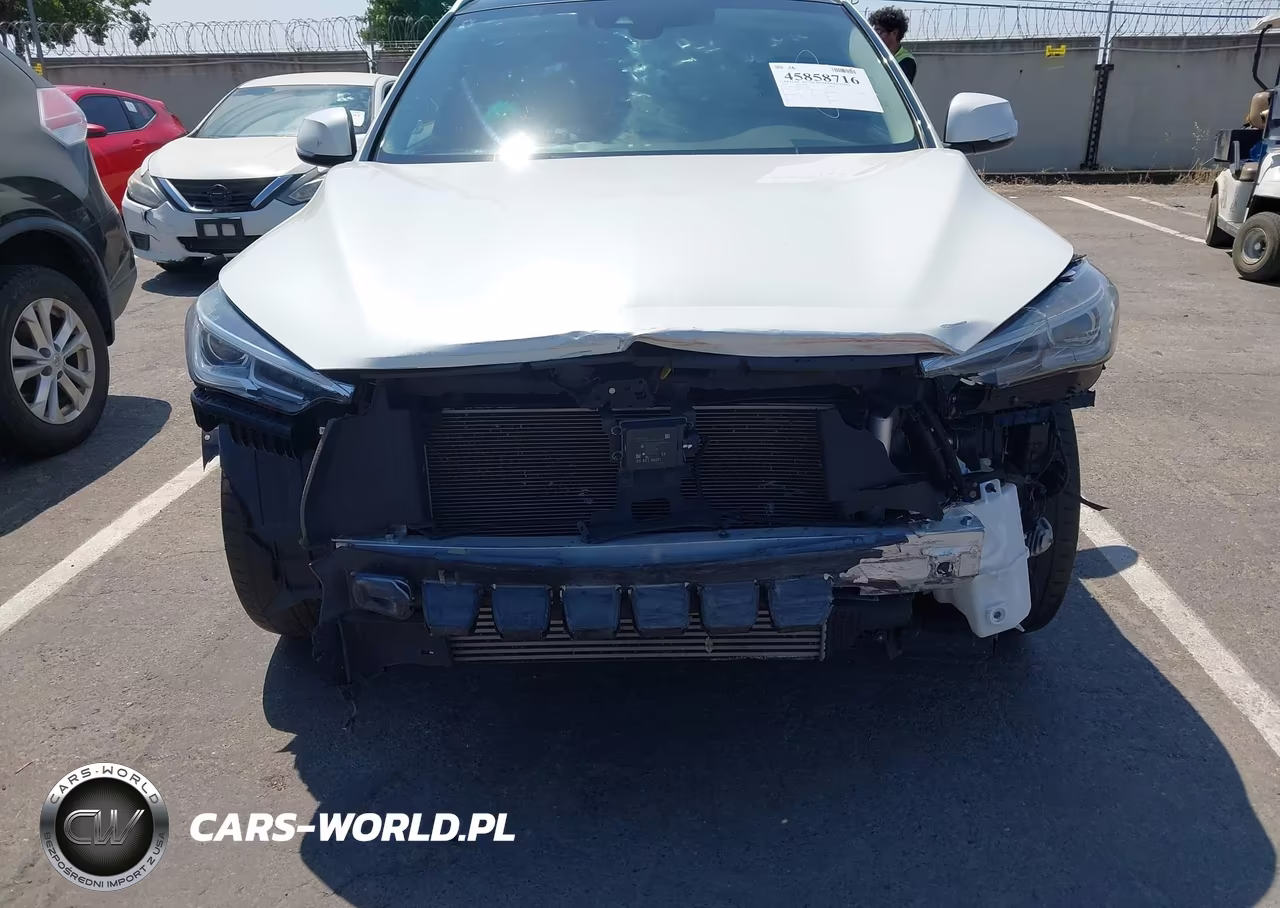 2019 Infiniti Qx50 Luxe VIN:3PCAJ5M37KF113659 - 12