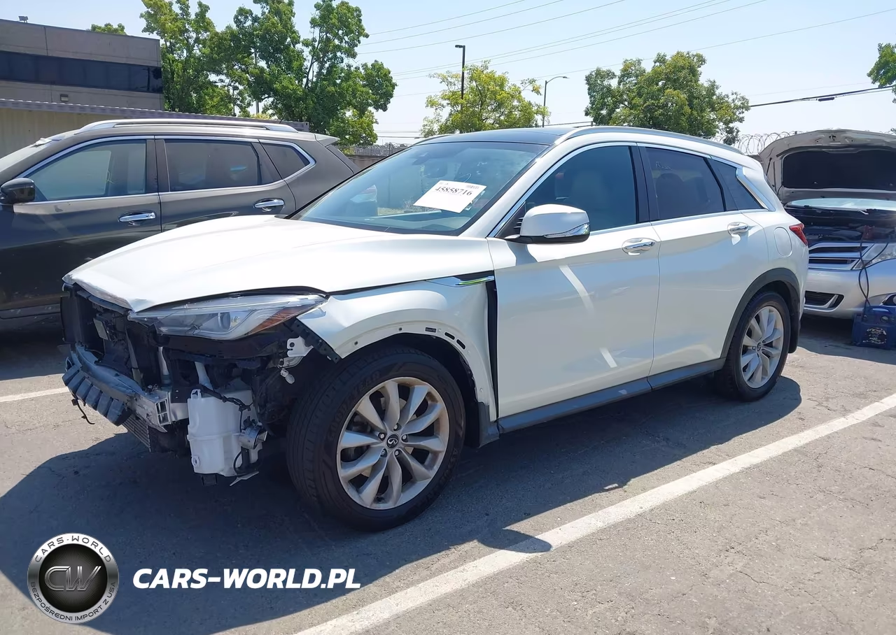 2019 Infiniti Qx50 Luxe VIN:3PCAJ5M37KF113659 - 2