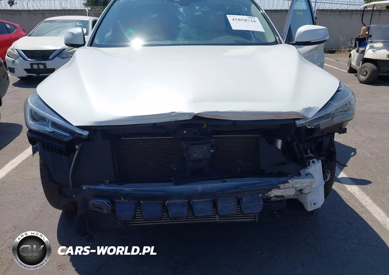 2019 Infiniti Qx50 Luxe VIN:3PCAJ5M37KF113659 - 6