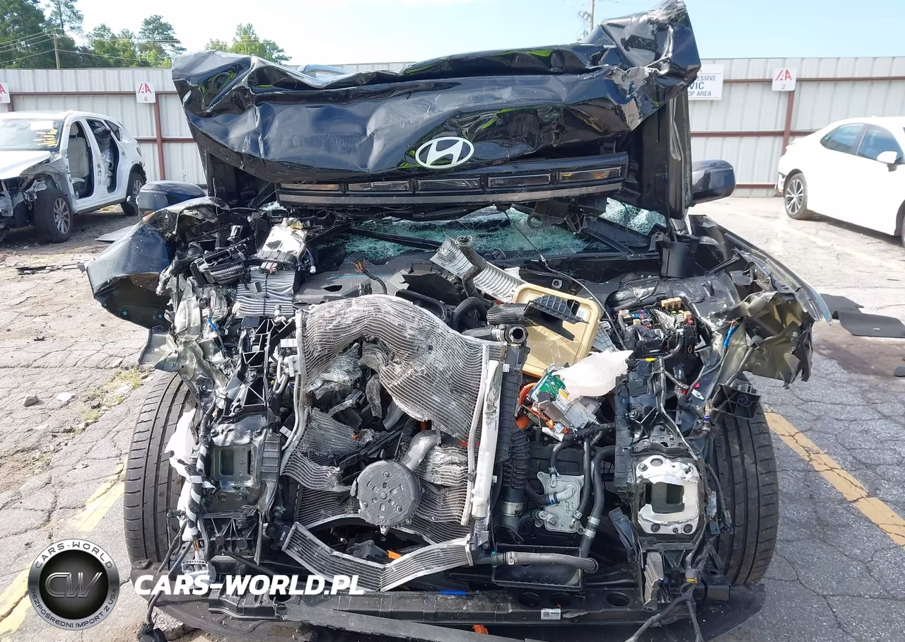 2024 Hyundai Santa Fe Hybrid Limited VIN:5NMP34G16RH008029 - 12