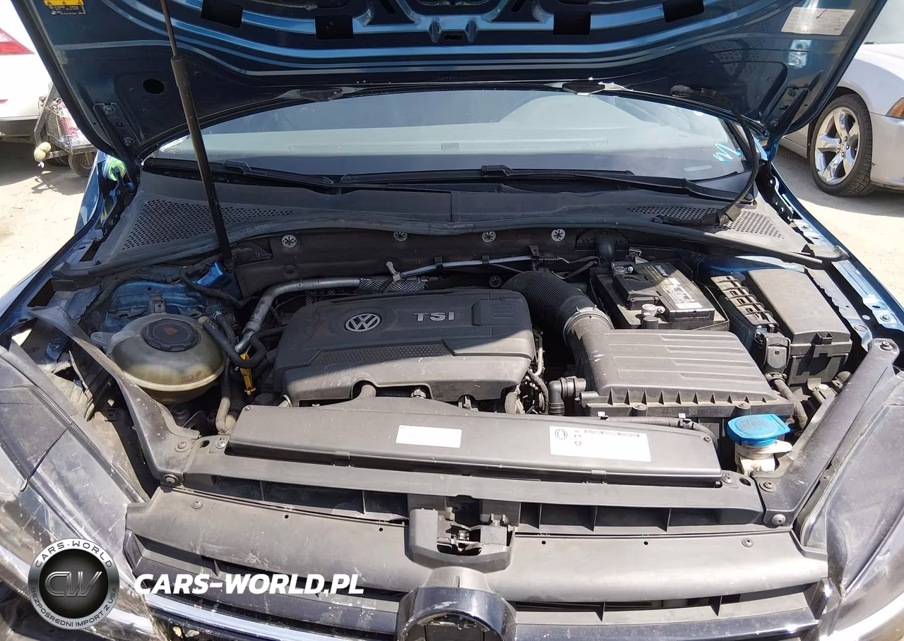 2018 Volkswagen Golf Tsi S-Tsi Se VIN:3VWG17AUXJM273237 - 10