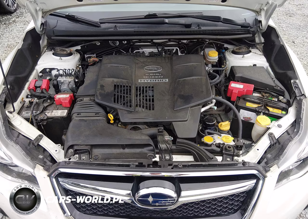 2016 Subaru Crosstrek Hybrid Touring VIN:JF2GPBLC6GH259276 - 10