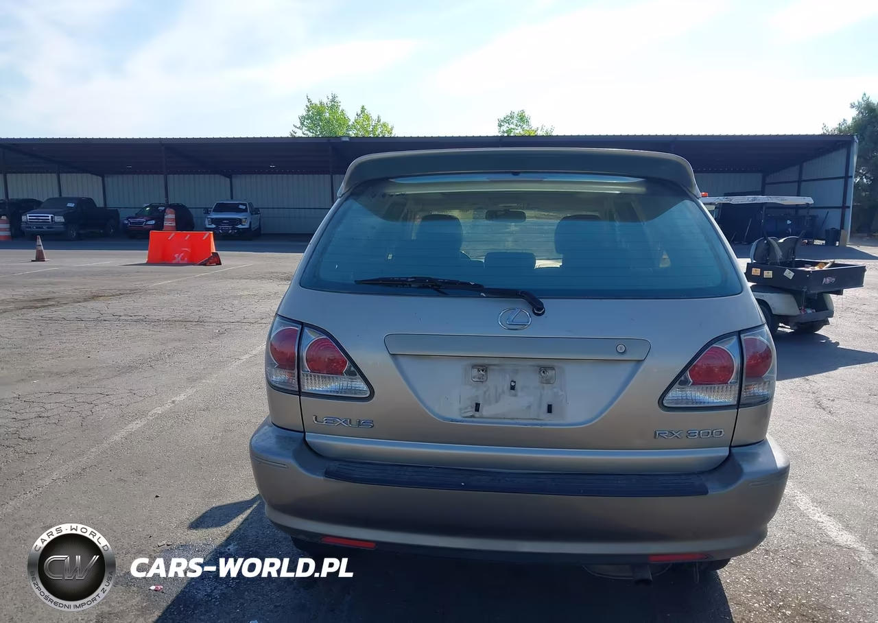 2003 Lexus Rx 300 VIN:JTJGF10U730160402 - 16
