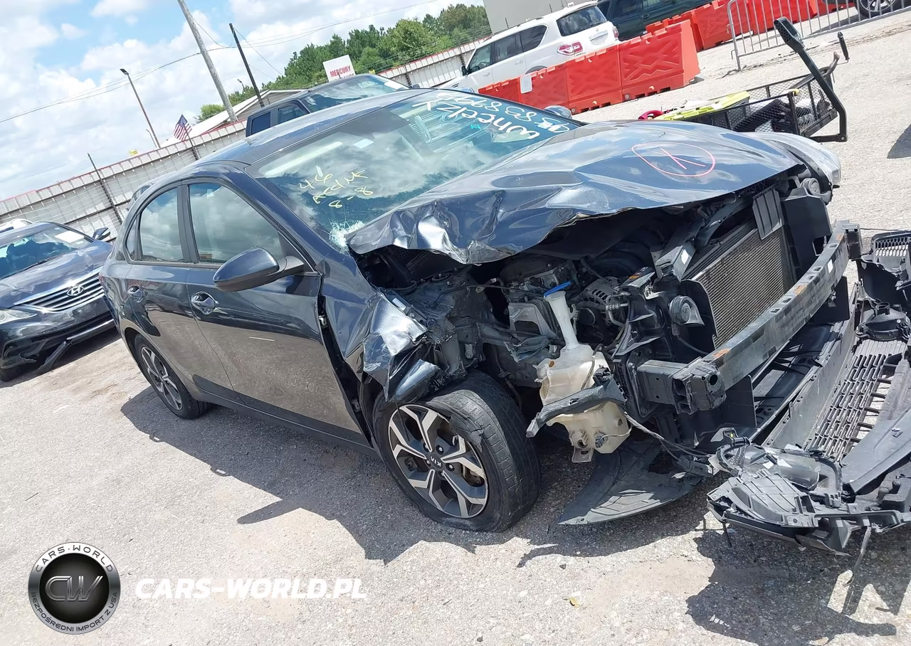 2019 Kia Forte Lxs