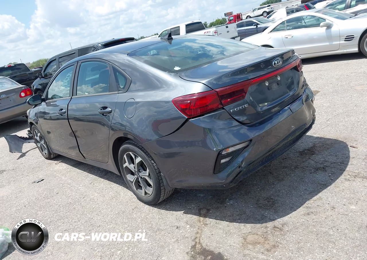 2019 Kia Forte Lxs VIN:3KPF24AD0KE134403 - 3