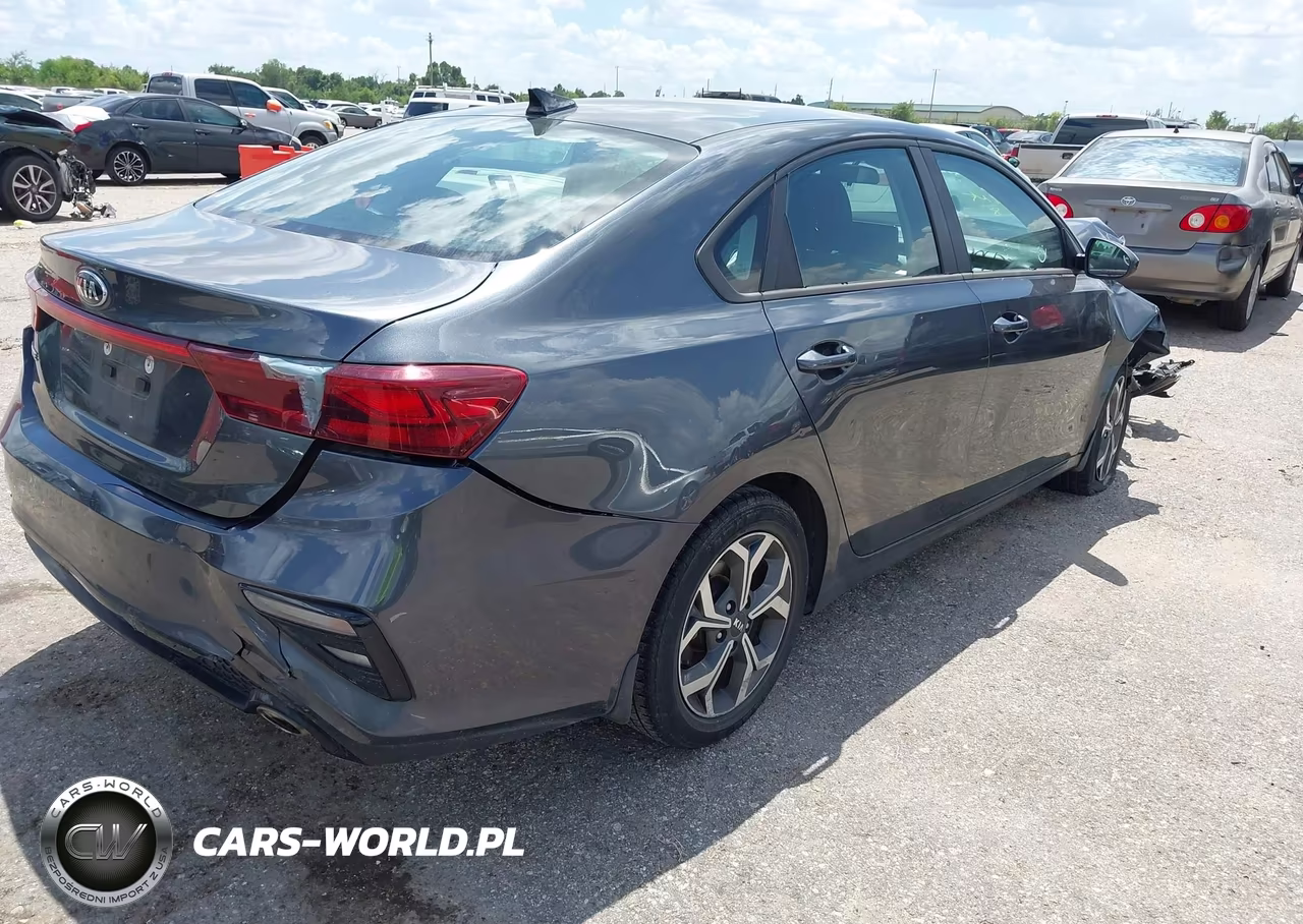 2019 Kia Forte Lxs VIN:3KPF24AD0KE134403 - 4
