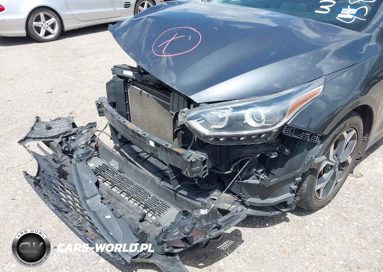 2019 Kia Forte Lxs VIN:3KPF24AD0KE134403 - 6