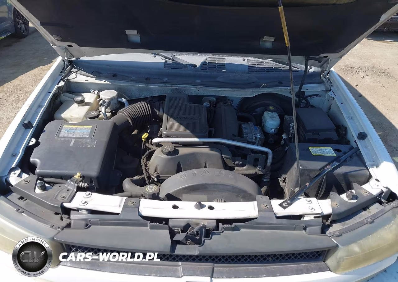 2004 Chevrolet Trailblazer Lt VIN:1GNDS13S442167851 - 10
