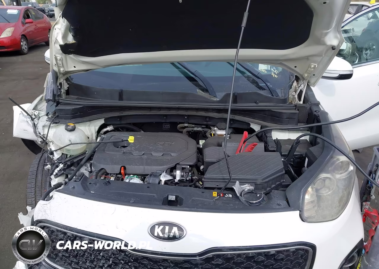2018 Kia Sportage Ex VIN:KNDPN3AC3J7401268 - 10