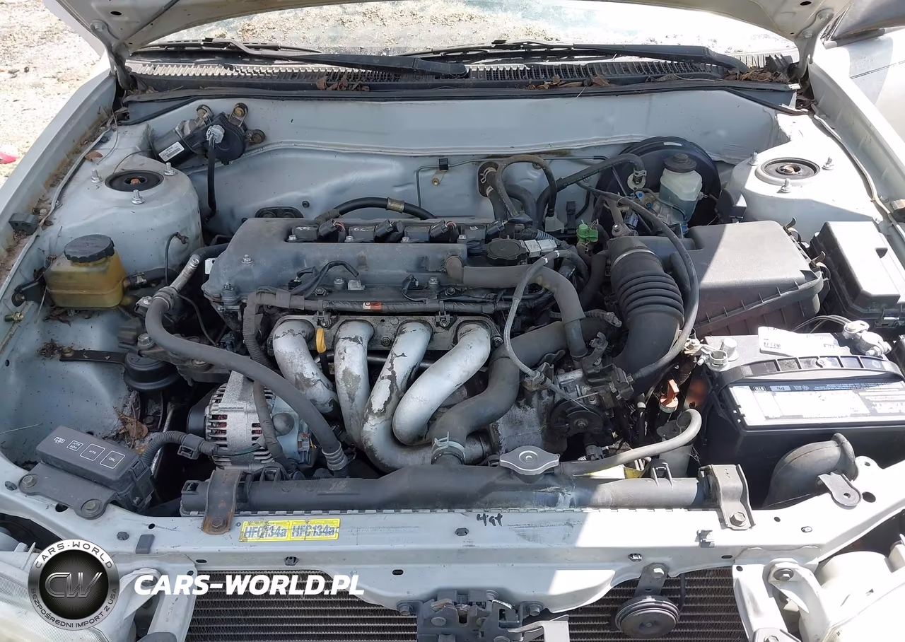 2001 Toyota Corolla Ce VIN:1NXBR12E31Z492509 - 10