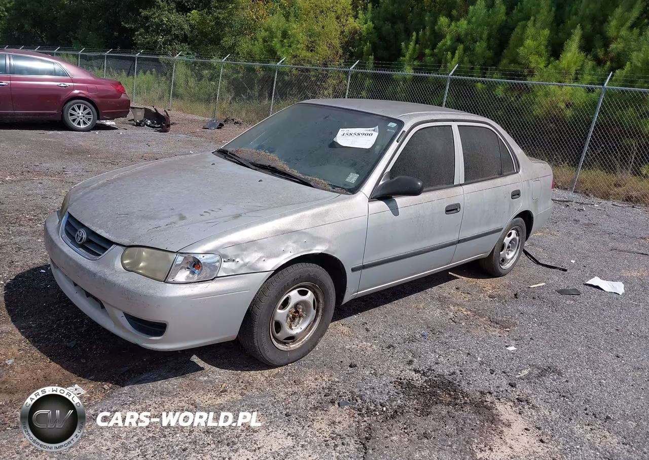 2001 Toyota Corolla Ce VIN:1NXBR12E31Z492509 - 2