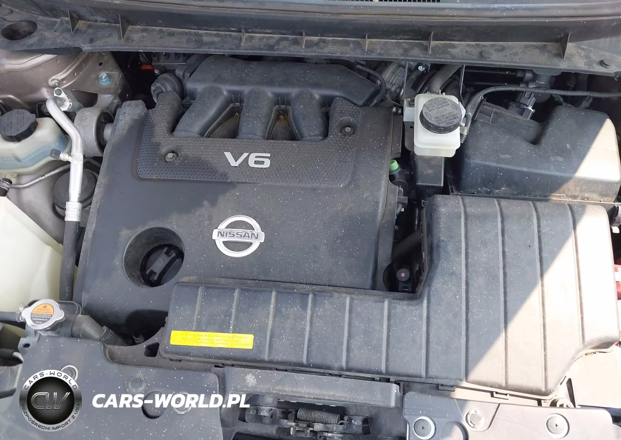 2013 Nissan Murano Sv VIN:JN8AZ1MW9DW309827 - 10