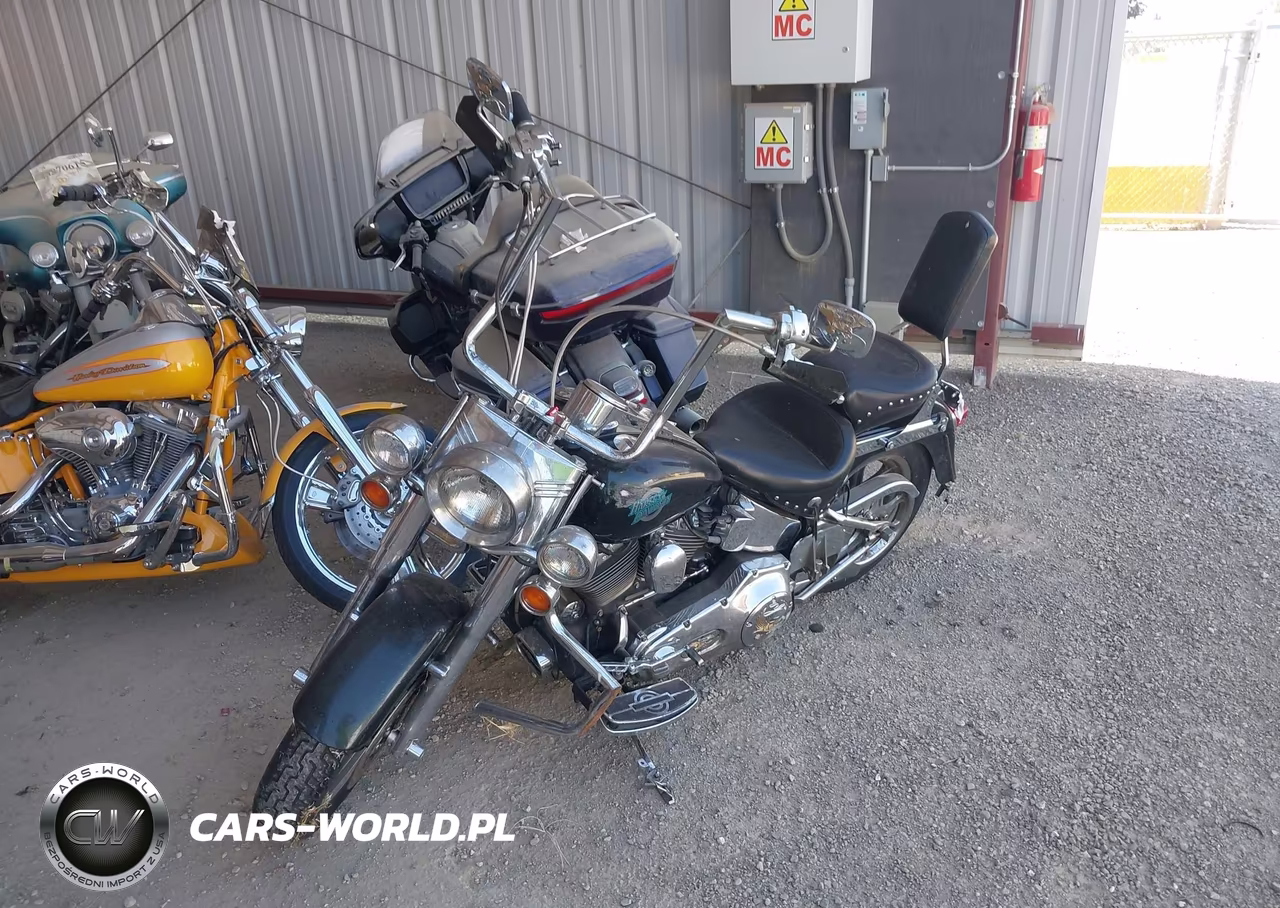 2001 Harley-Davidson Flstfi VIN:1HD1BXB161Y080516 - 2